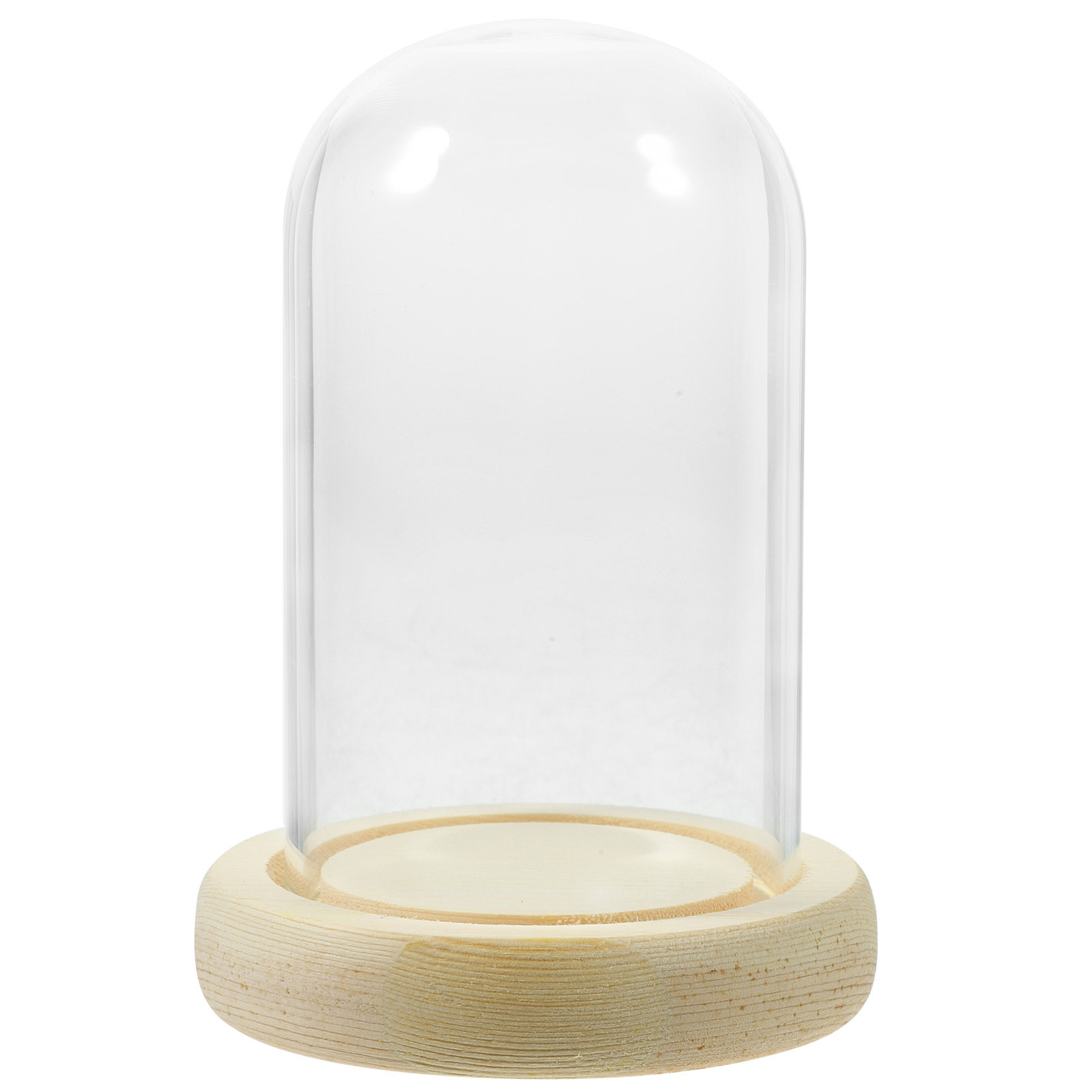 1Pcs Cake Glass Shade Dome Hig - High Jewelry Watches 评论和价格